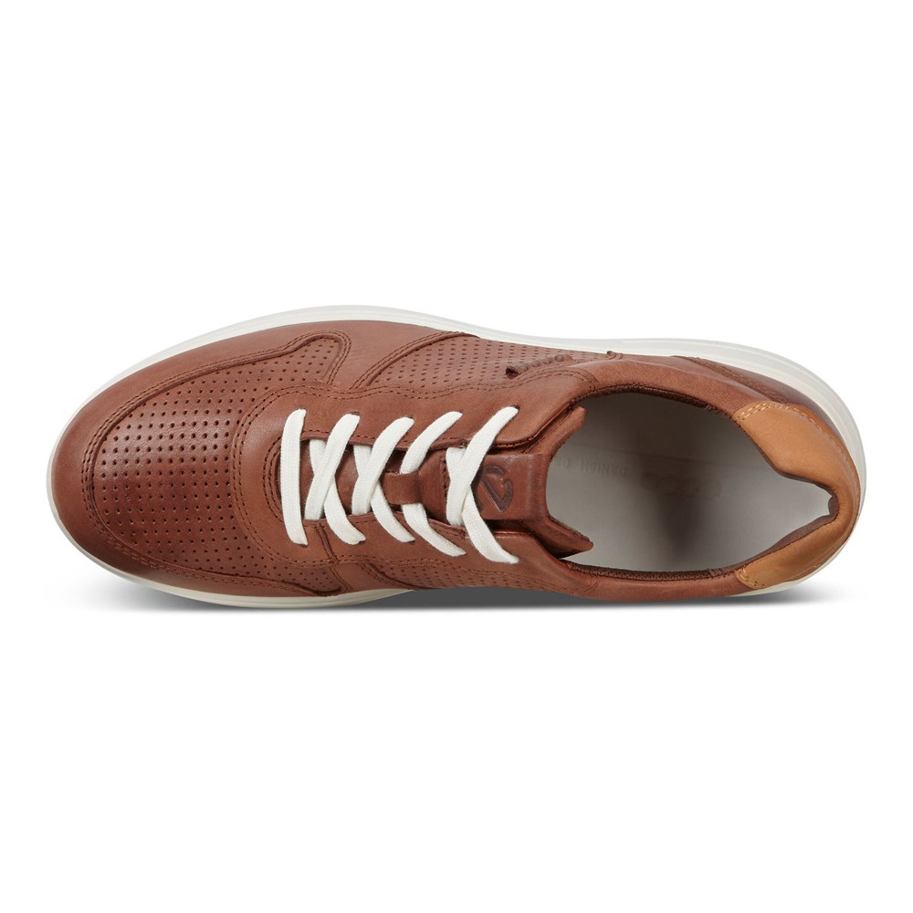 ECCO Mens Sneakers Brown - Soft 7 Runner Lace-Ups - YZG-024795